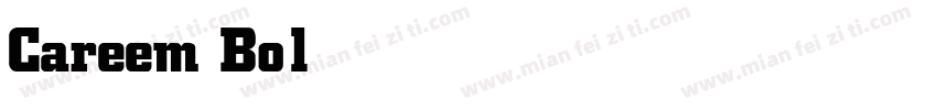 Careem Bold字体转换